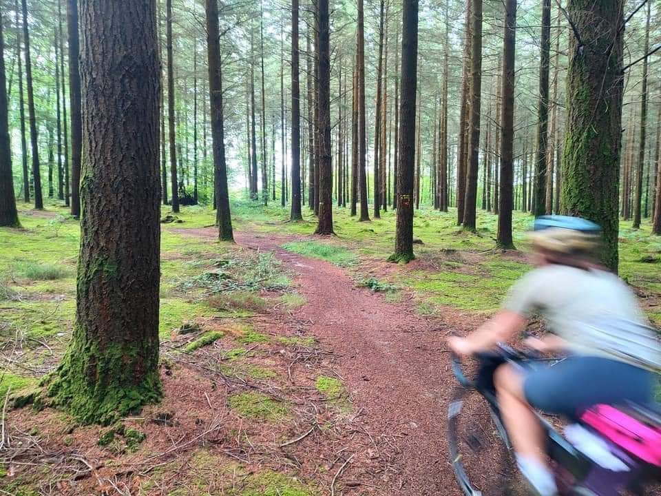 Forêt Bercé-par-le-Loir 2023